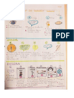 Escala de Glaswod Tarea