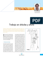 Técnicas de ascenso y seguridad en trabajos de poda y árboles