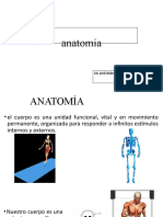 Anatomía