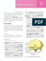 Anatomía Humana. Tomo 1 by Michel Latarjet, Alfredo Ruiz Liard (Z-Lib - Org) - 87-134