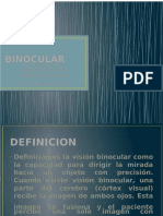 PDF Sistema de Codificacion y Denominacion y Descripcion de Cuentas Inst Finan - Compress