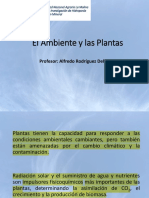 Ambiente Plantas 1 2022