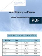 Ambiente Plantas 2 2022
