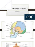 Final Exam REVIEW LABELLING