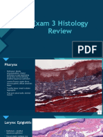 MMS Exam 3 Histo Review