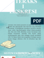 Interaksi Ekskresi Kelompok 6