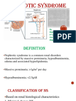 Nephrotic Syndrome Explained