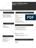 Template CV Design Modern Untuk Experience