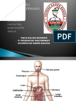 Anfis Sistim Pencernaan Kelompok 3