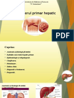 Cancerul Hepatic