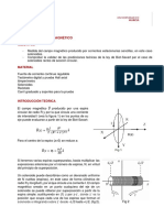 Práctica6 Campo Magnético