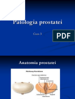 4 Curs Patologia Prostatei Curs 4 Urologie An 4