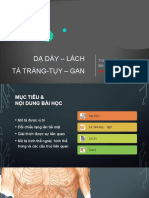 (OTCH21) - DDay Lach TTrang Tuy Gan