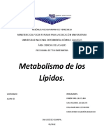 Metabolismo de Los Lipidos
