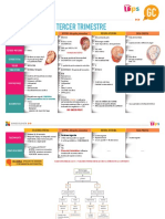 GC Hemorragias Tercer Trimestre234