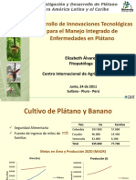 11 E Alvarez Innovaciones Tecnologicas para Manejo Integrado de Platano