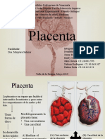 Placenta