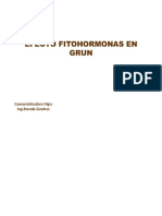 Efecto Fitohormonas en Grun