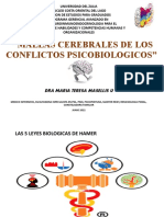 MALLAS CEREBRALES de Los Conflictos Biologicos