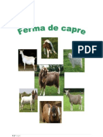 Ferma de Capre