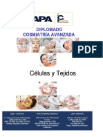 Celulas y Tejidos PDF