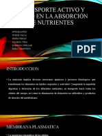 Nutrientes transporte activo pasivo