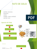 Aparato de Golgi: estructura y funciones clave