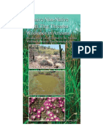 Invasive Non Native-Plants-that-Threaten-Wildlands-in-Arizona