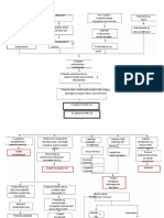 Pathway Plasenta Previa