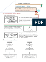 Ficha 28 Sentidos Del Olfato Ygusto.