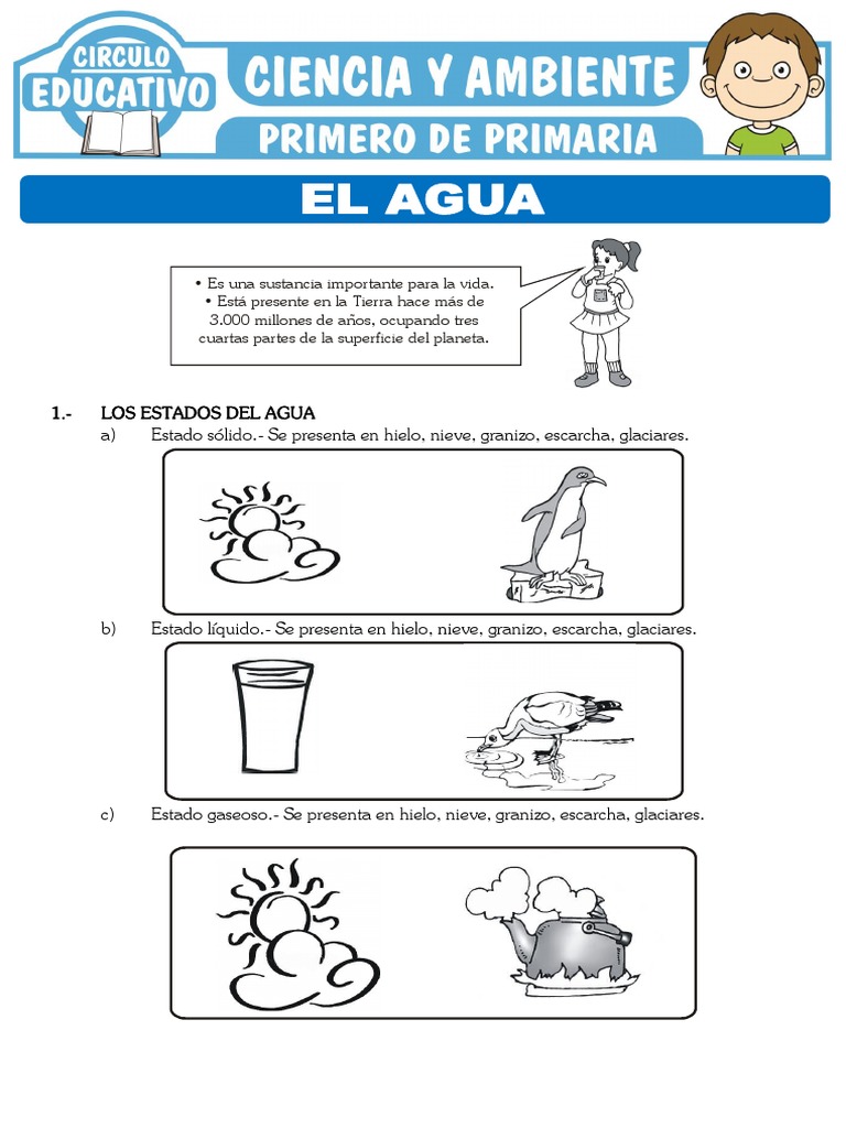 El Agua para Primero de Primaria | PDF | Agua | Granizo