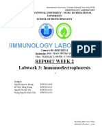International University Immunology Lab Report