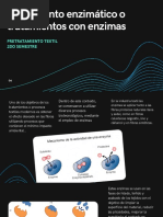 Tratamiento Enzimático o Tratamientos Con Enzimas: Pretratamiento Textil 2do Semestre