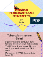 File 2013-07!09!15!17!10 Suharyo, SKM, M.kes Presentasi Prog Pemb Peny TB