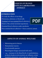 Techniques of Blood Collection in Laboratory Animals