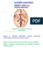 Tema 1, 2-Sistema nervioso.21-22.AV