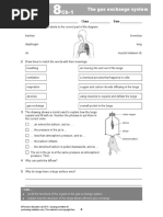Lungs and Gas Exchange Activity - Answers | PDF