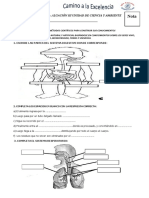 Evalucion de III Unidad de Ciencia y Ambiente 2 Grado