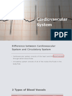 Cardiovascular System