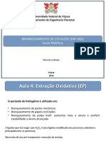 ENF 662 - Aula 4 PDF