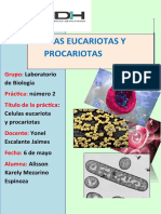 6) Informe Celulas Eucariotas y Procariotas Semana 6