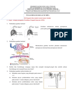 Soal Biologi Daring Kelas Xi