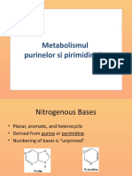 Curs Nucleotide Sem 2