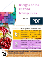 26.04.22 Riesgos de Los Cultivos Transgénicos