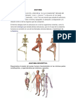 Anatomia 3