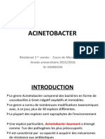 Présentation Acineto