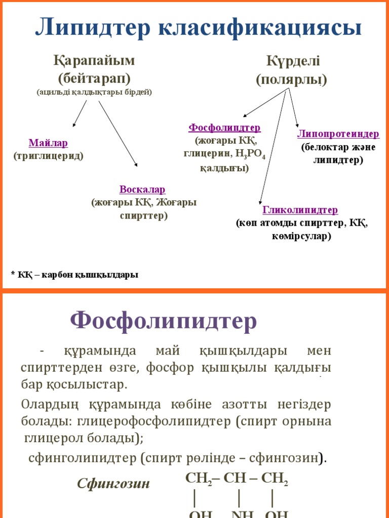 Шырынды жопа порно фото