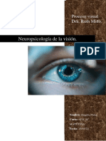 Neuronas y Neuroglias de La Retina C