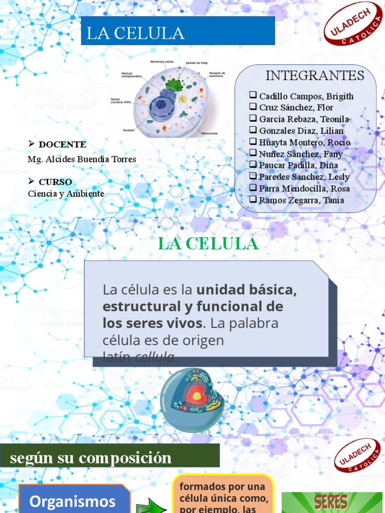 Estructura y Función de la Célula | PDF | Biología Celular) | Citoplasma