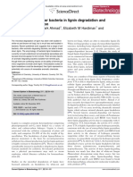 Bacterial Role in Lignin Degradation